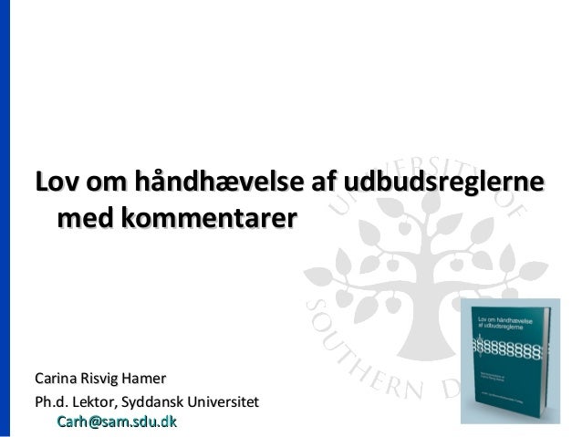 lov om håndhævelse af udbudsreglerne
